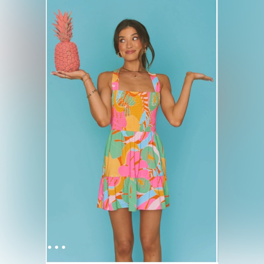 Show Me Your Mumu- Collins Mini Dress size Small